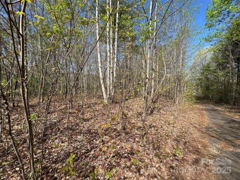 Tbd (D) Chestnut Walk Drive Waynesville NC 28786