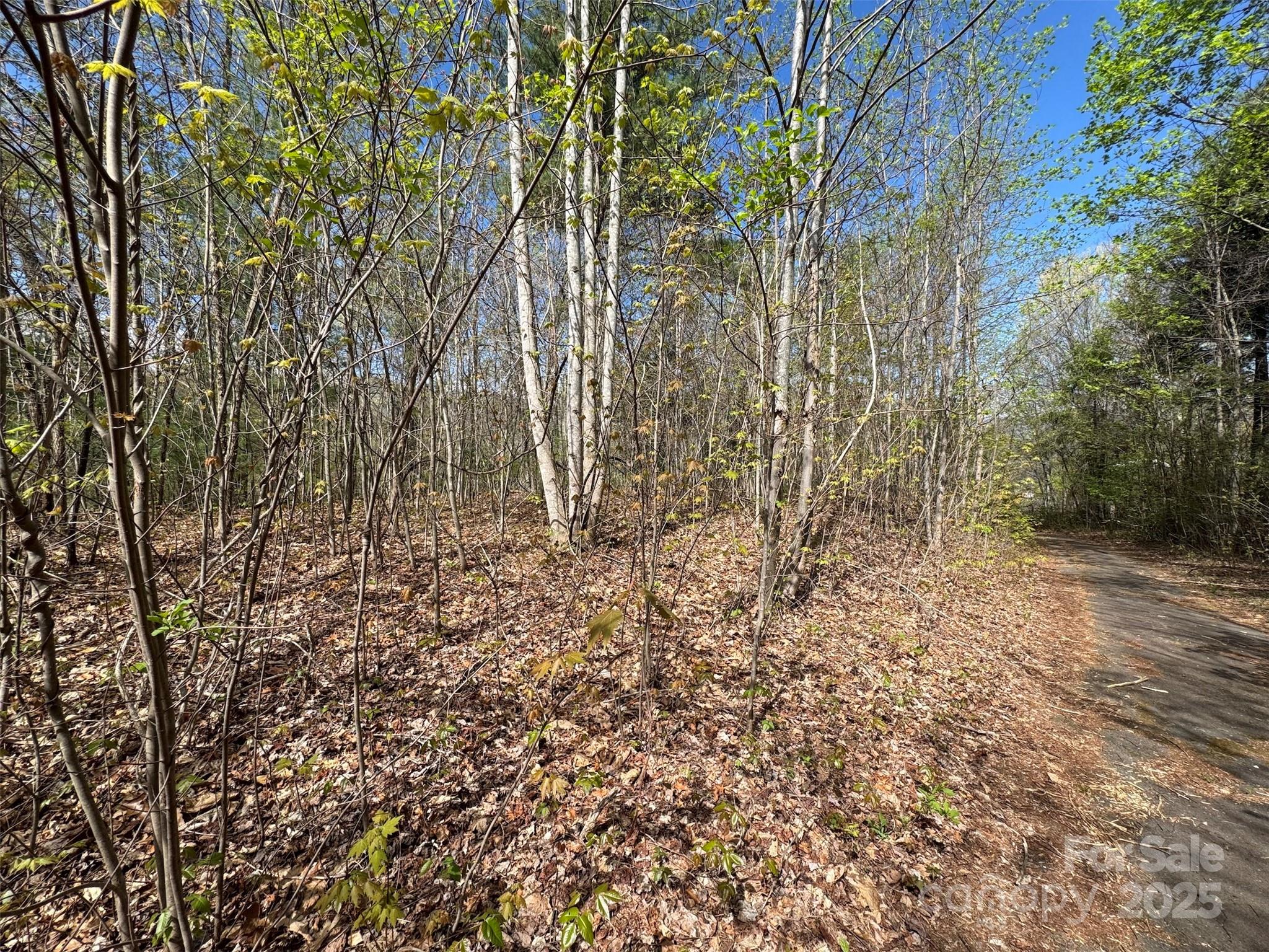 Tbd (D) Chestnut Walk Drive Waynesville NC 28786