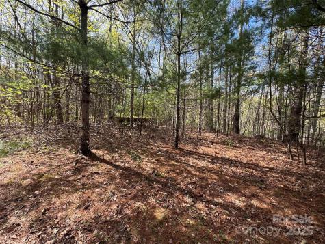 Tbd (D) Chestnut Walk Drive Waynesville NC 28786