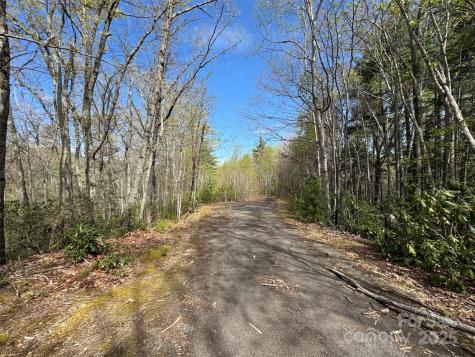 Tbd (D) Chestnut Walk Drive Waynesville NC 28786