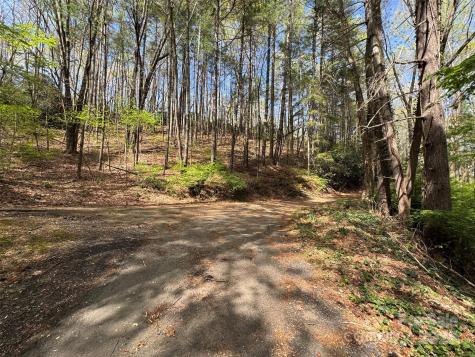 Tbd (D) Chestnut Walk Drive Waynesville NC 28786