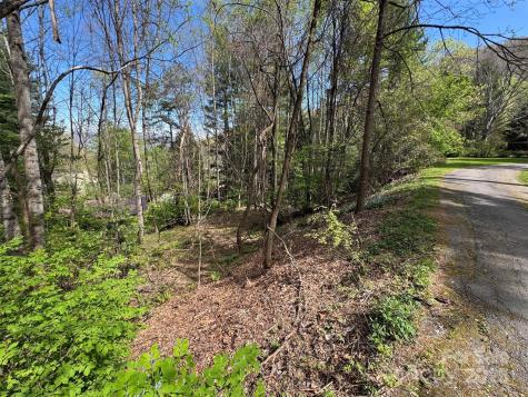 Tbd (D) Chestnut Walk Drive Waynesville NC 28786