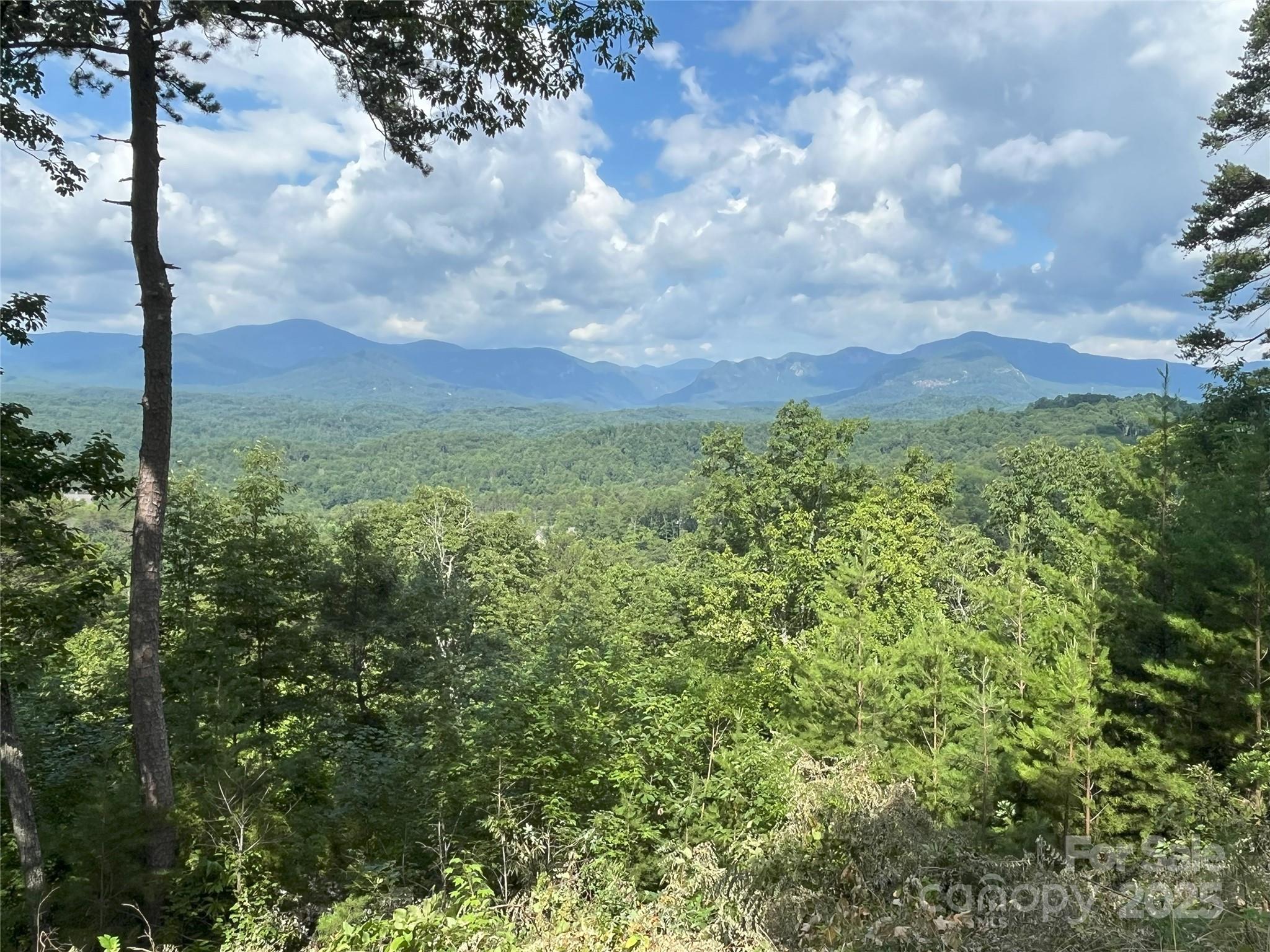 00 Bills Mountain Trail Lake Lure NC 28746