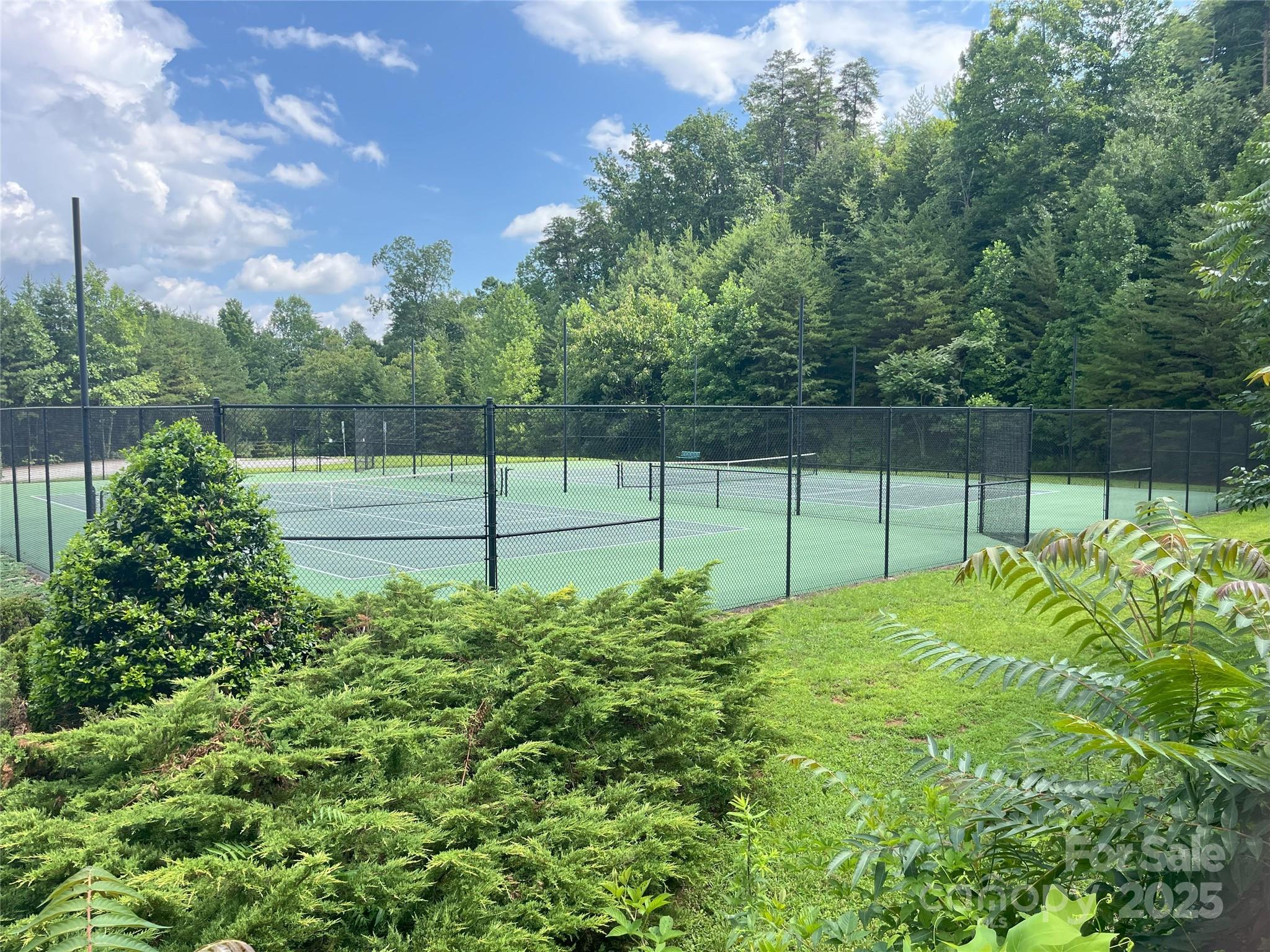 00 Bills Mountain Trail Lake Lure NC 28746