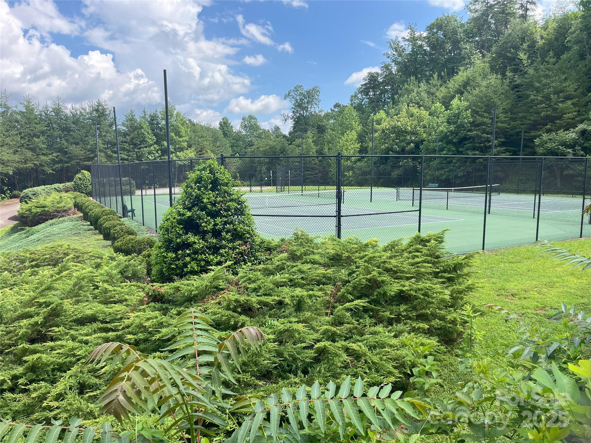 00 Bills Mountain Trail Lake Lure NC 28746