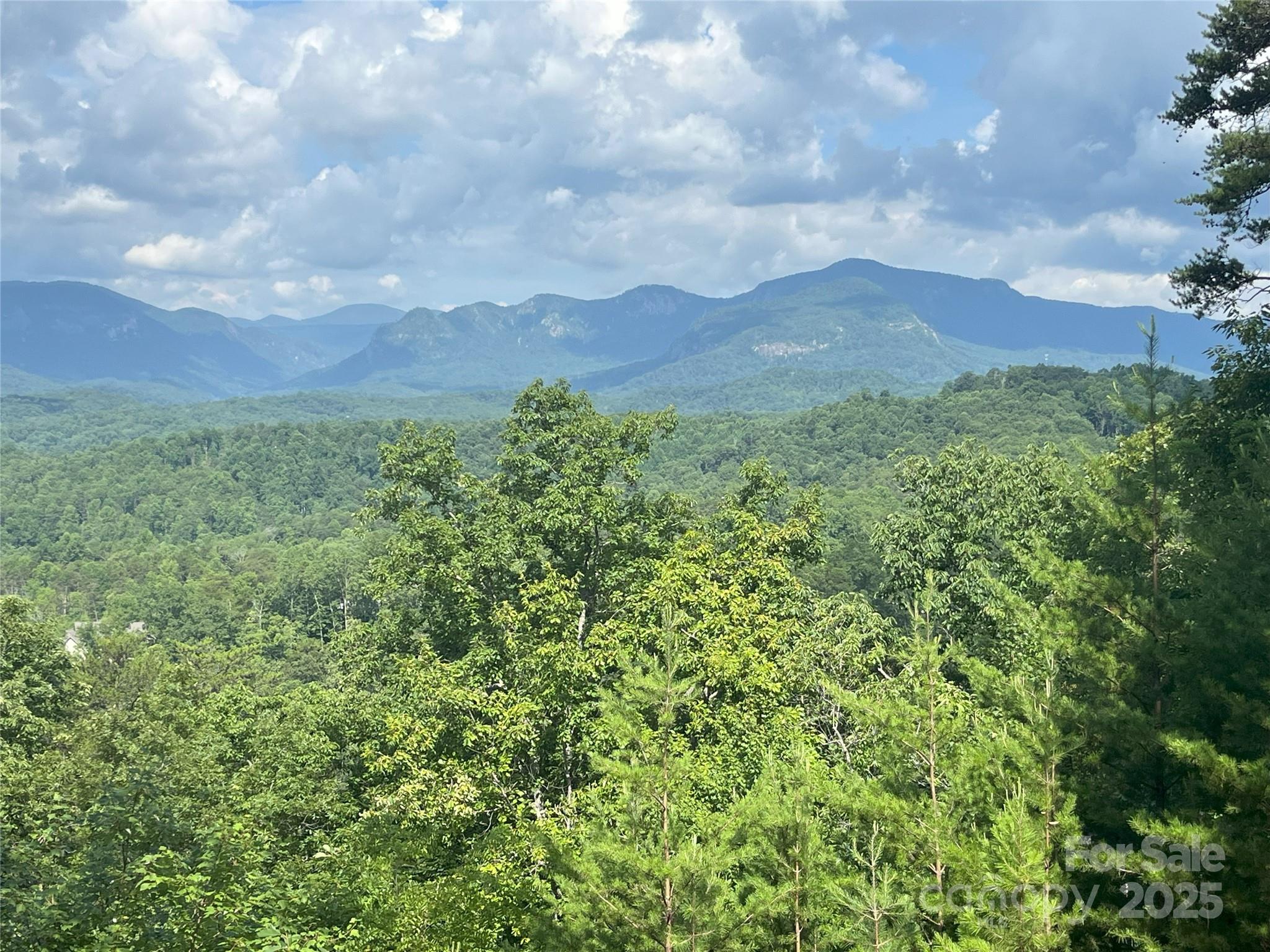 00 Bills Mountain Trail Lake Lure NC 28746