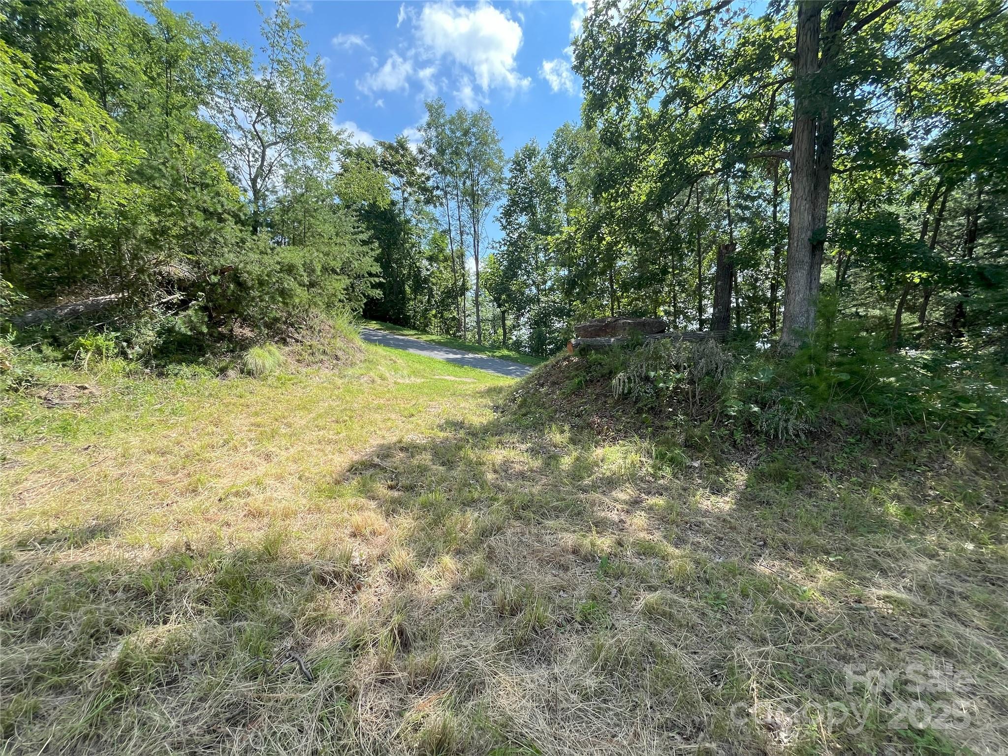 00 Bills Mountain Trail Lake Lure NC 28746