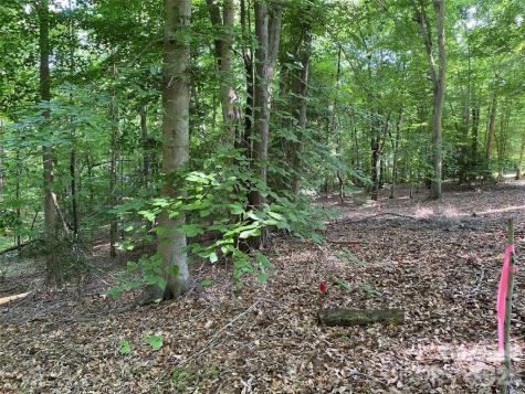 8436 Marina Lane Catawba NC 28609
