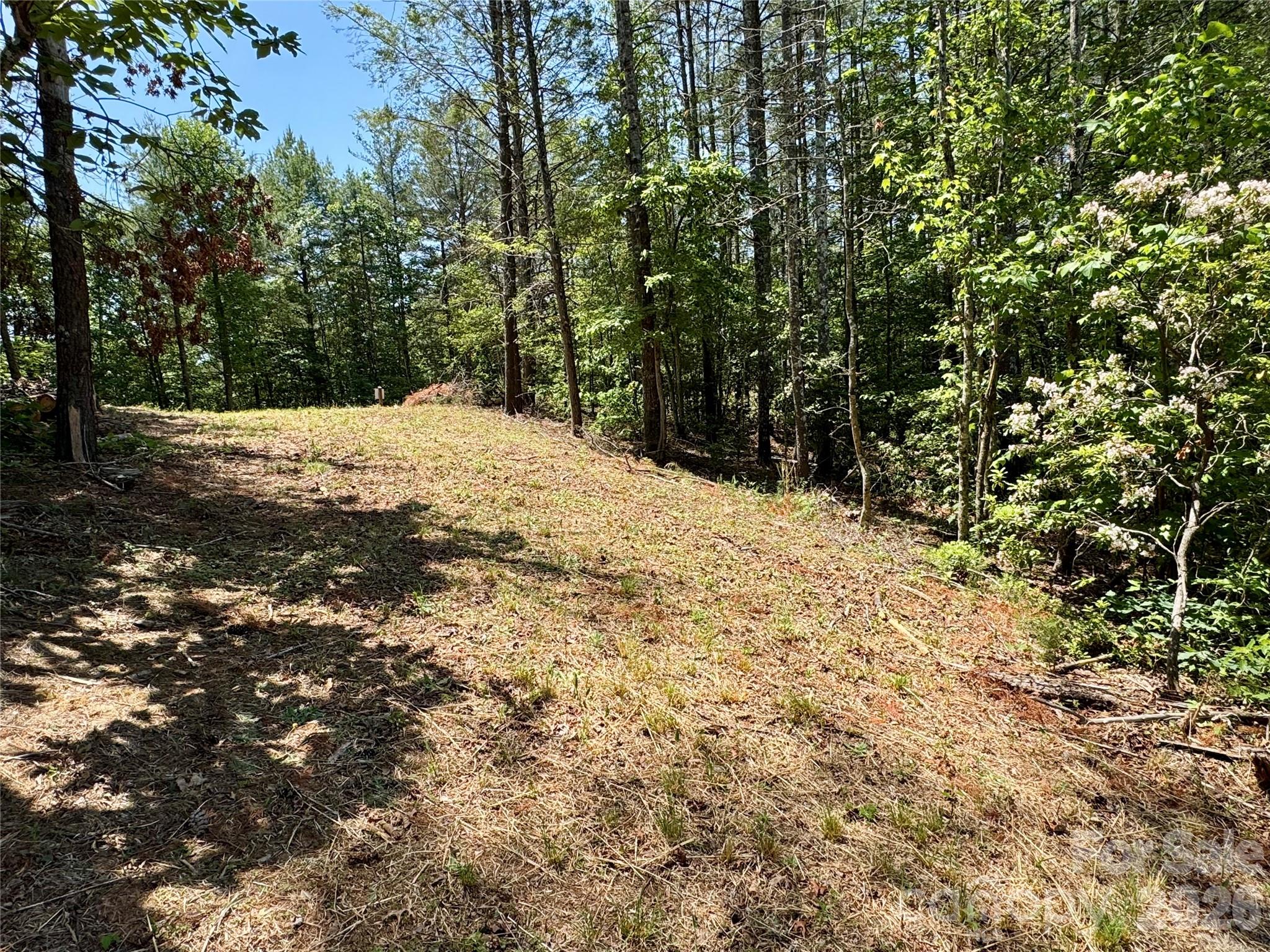 Lot 731, 5971 Box Turtle Run Lenoir NC 28645