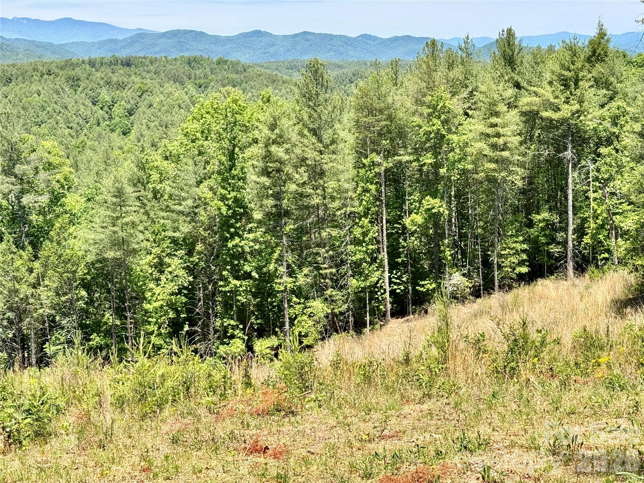 Lot 731, 5971 Box Turtle Run Lenoir NC 28645
