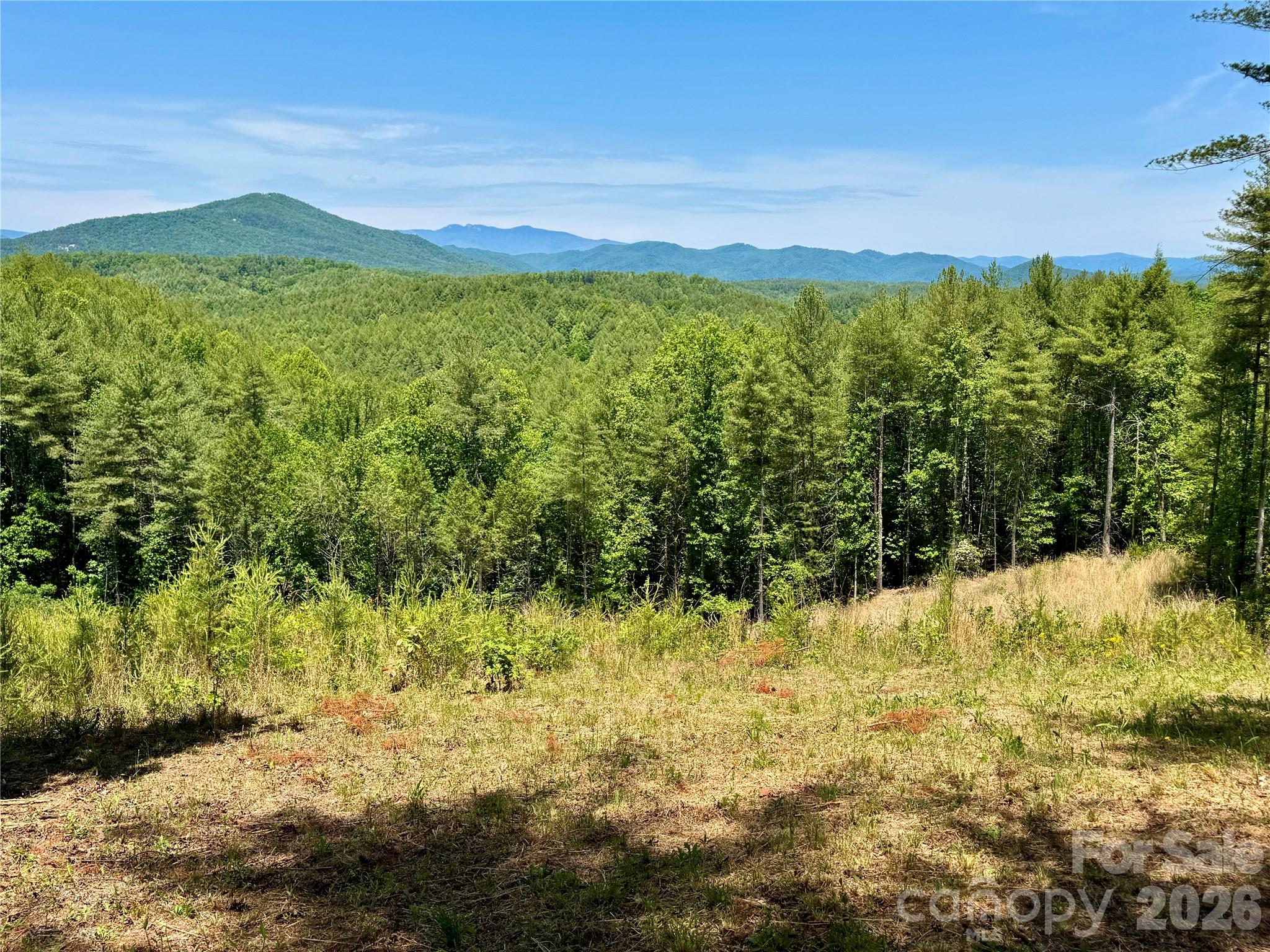 Lot 731, 5971 Box Turtle Run Lenoir NC 28645