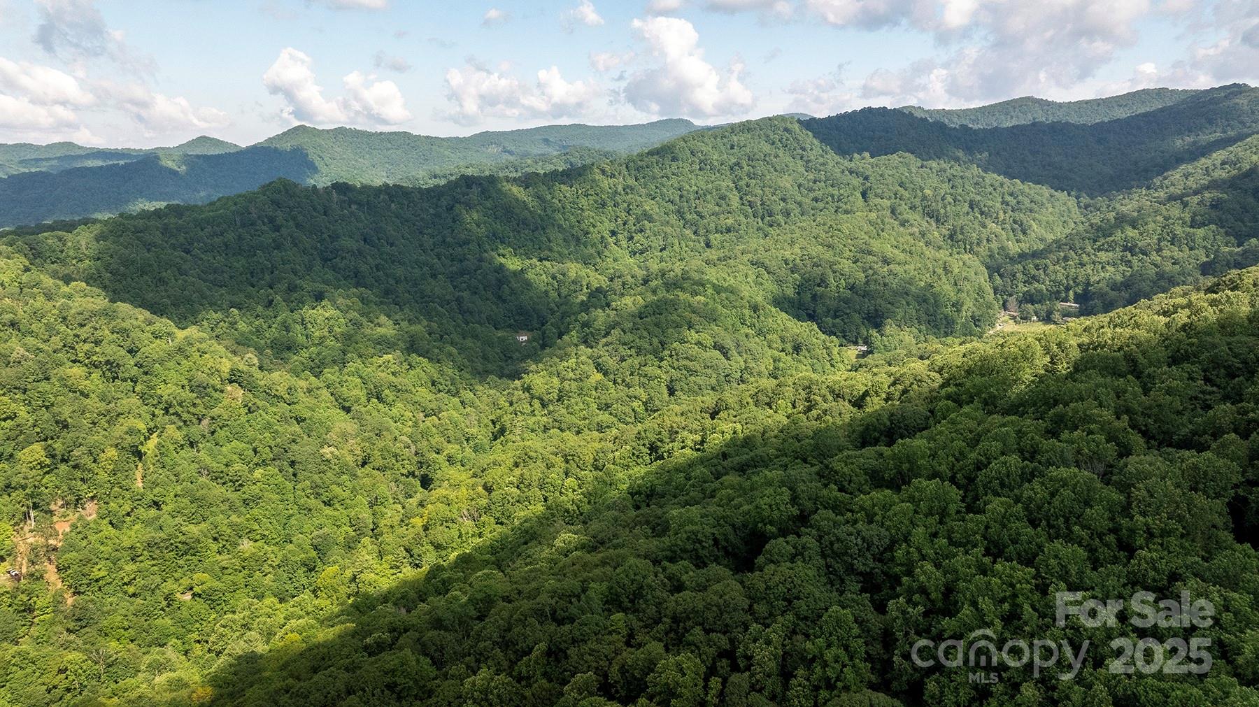 1710 Roaring Fork Road Mars Hill NC 28754