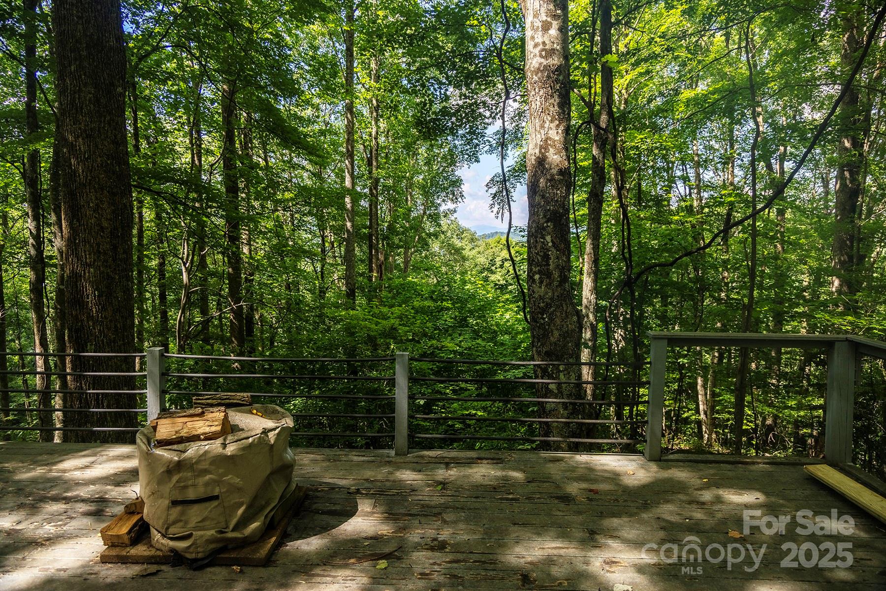 1710 Roaring Fork Road Mars Hill NC 28754