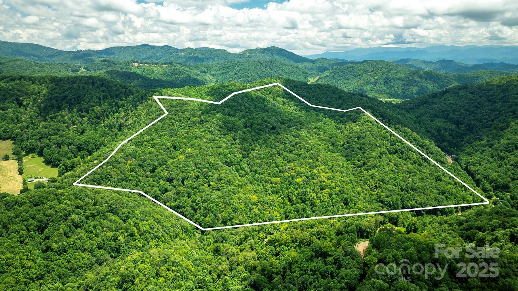 1710 Roaring Fork Road Mars Hill NC 28754