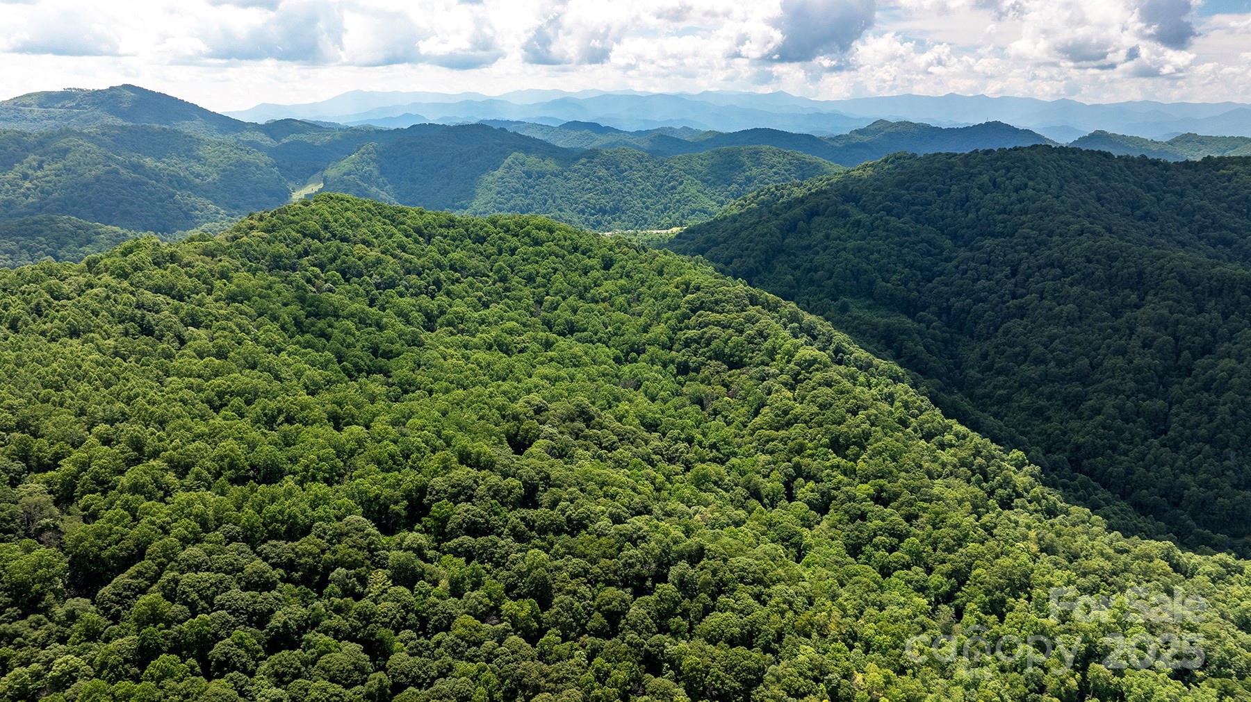 1710 Roaring Fork Road Mars Hill NC 28754
