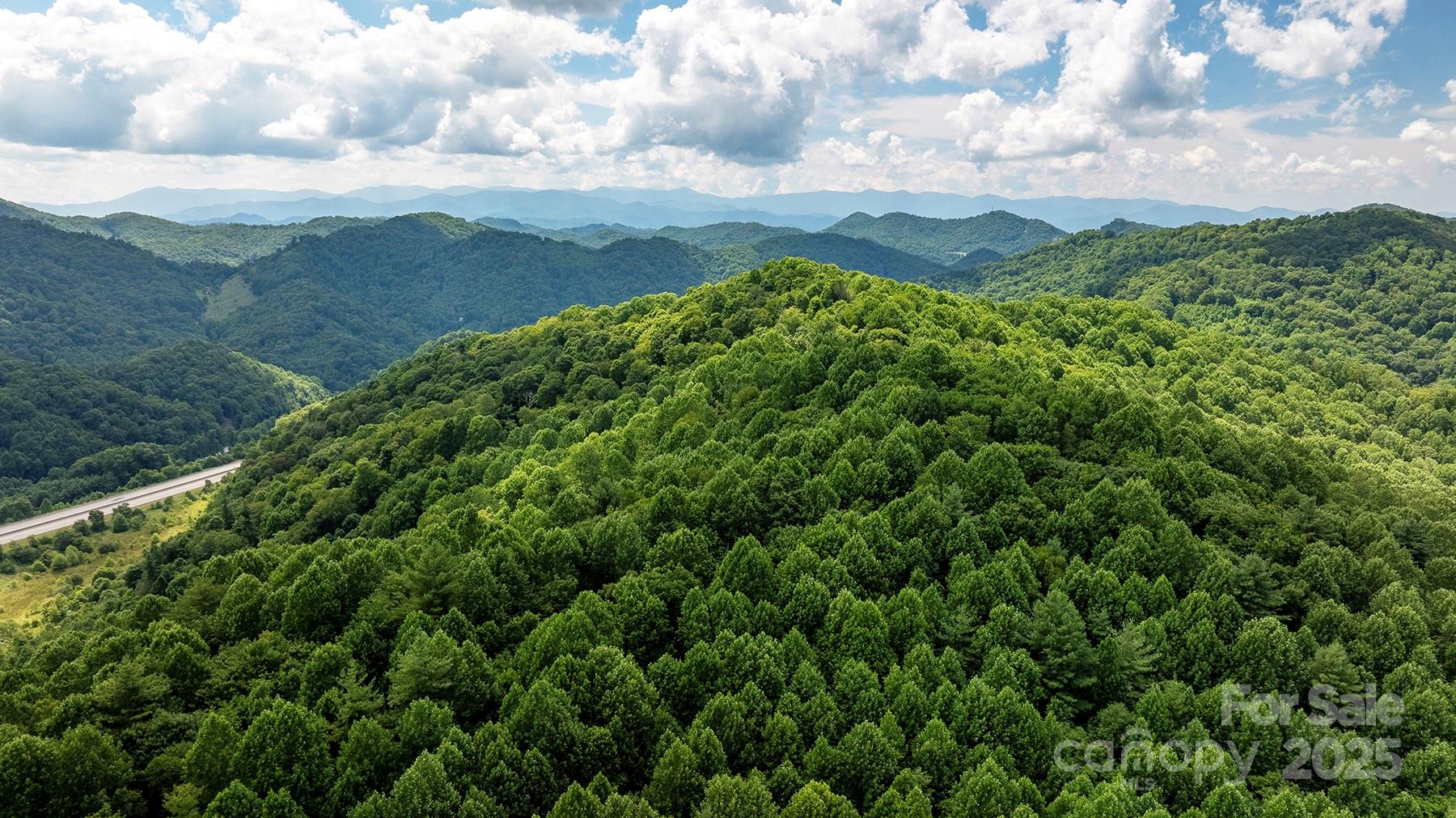 1710 Roaring Fork Road Mars Hill NC 28754