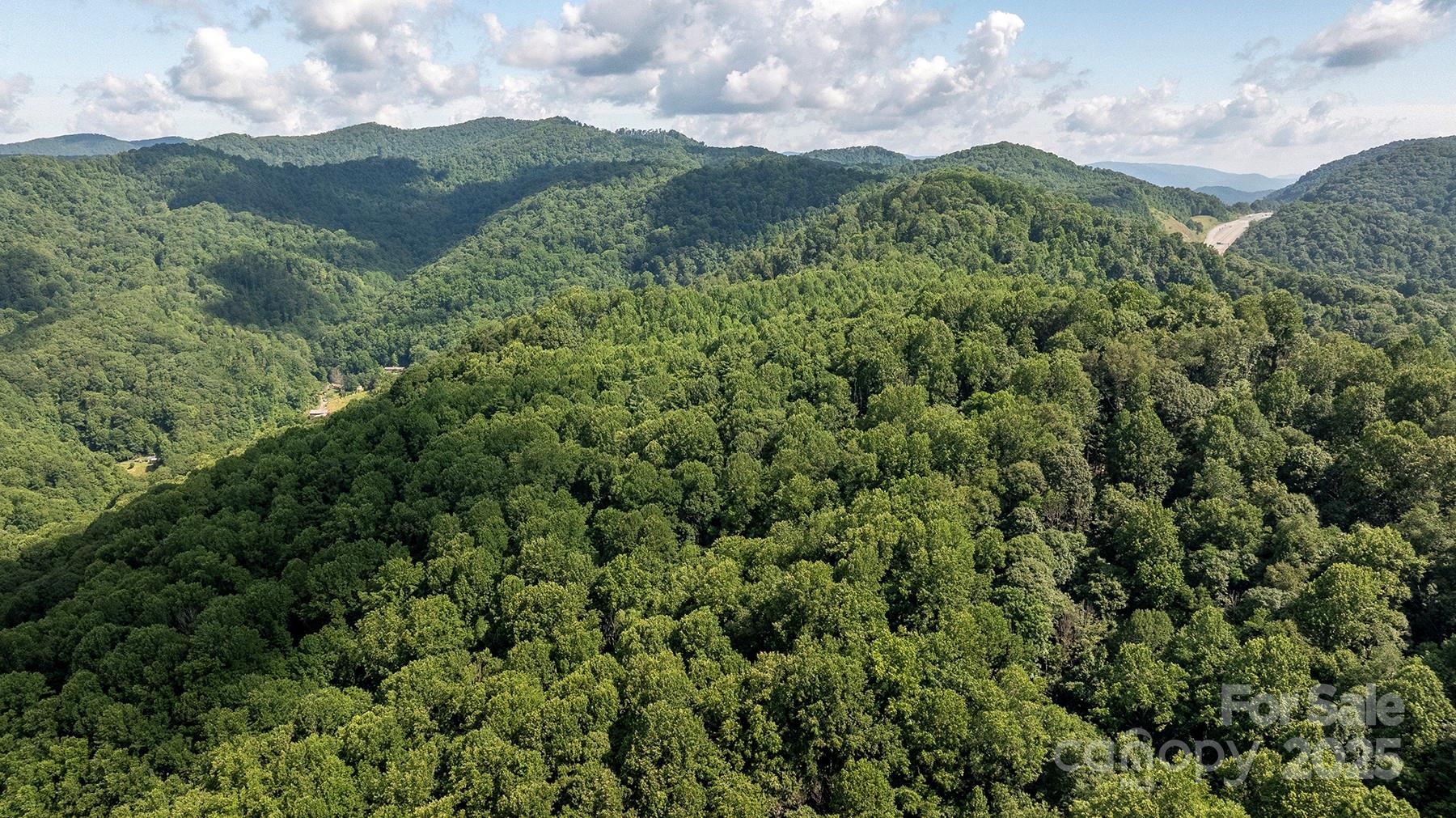 1710 Roaring Fork Road Mars Hill NC 28754