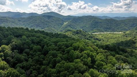 1710 Roaring Fork Road Mars Hill NC 28754