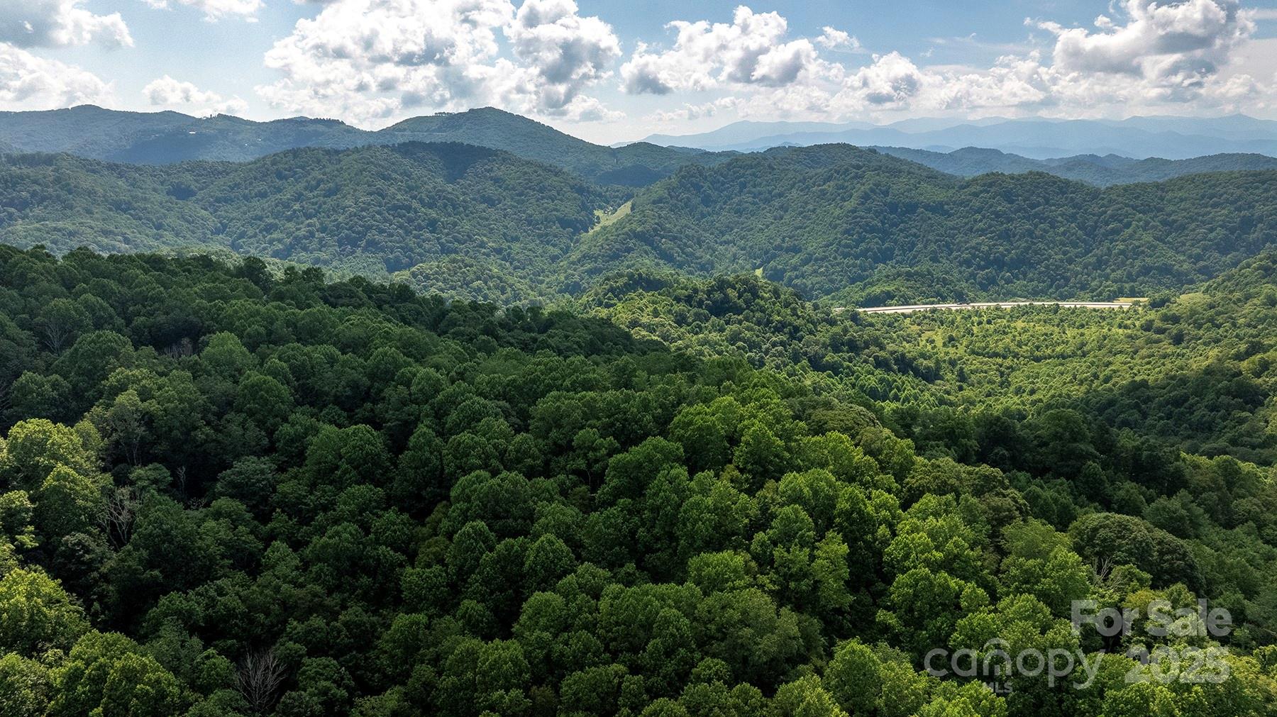 1710 Roaring Fork Road Mars Hill NC 28754