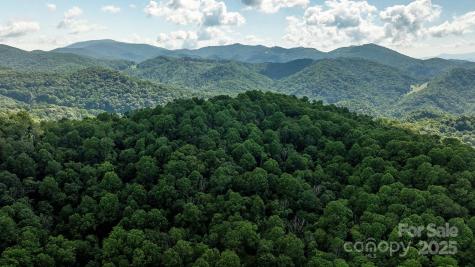 1710 Roaring Fork Road Mars Hill NC 28754
