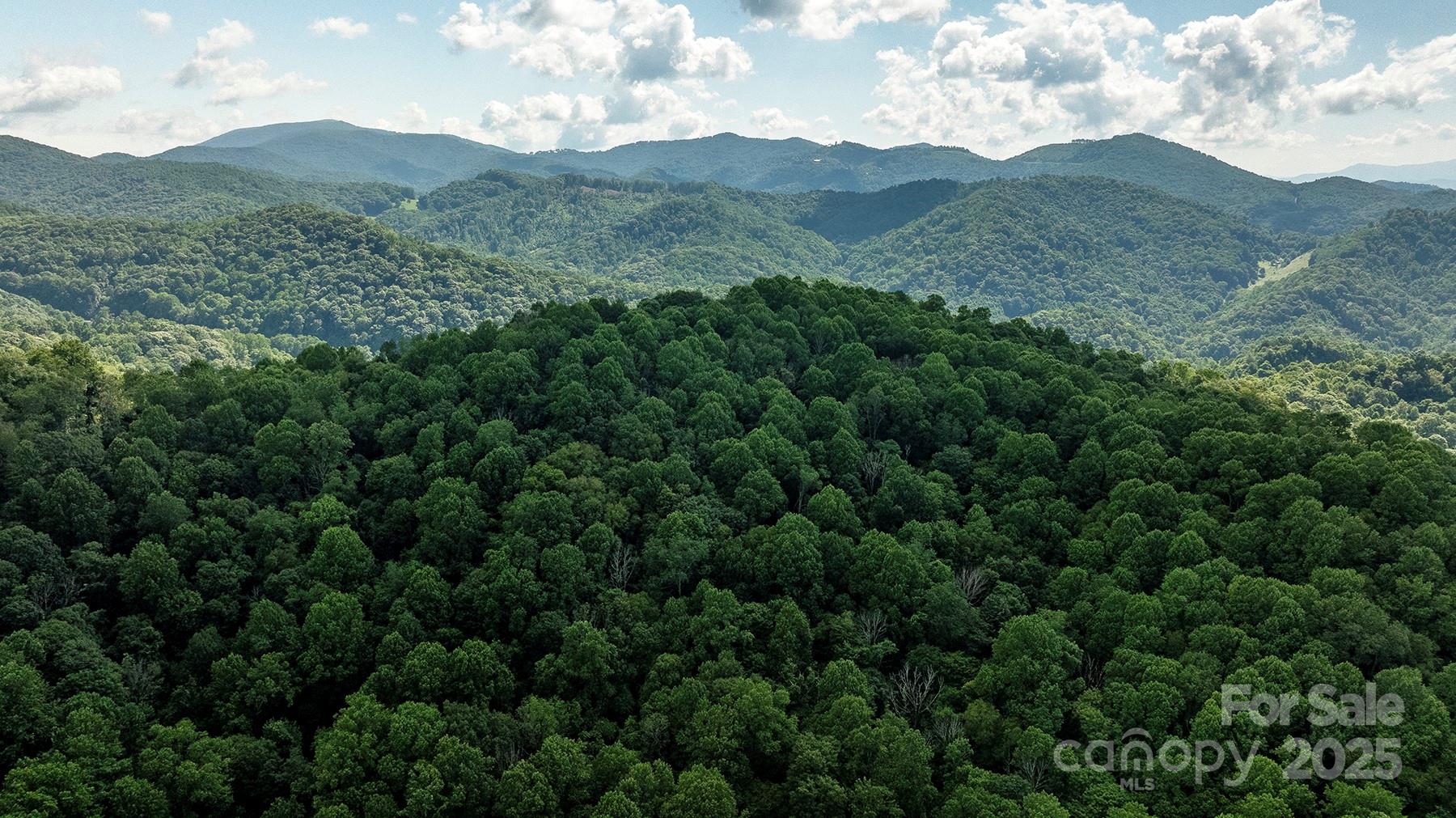 1710 Roaring Fork Road Mars Hill NC 28754