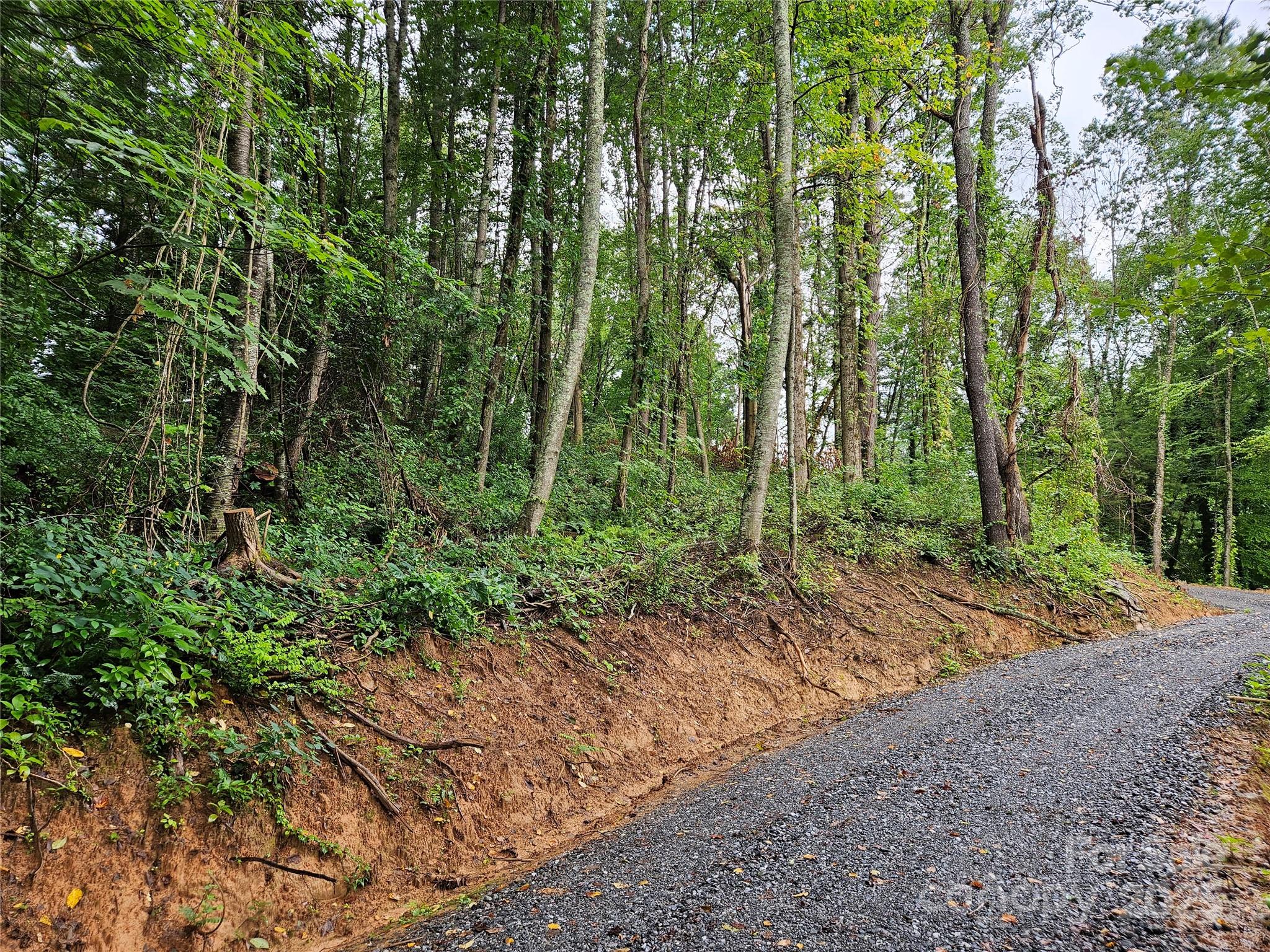 000 Dolan Road Waynesville NC 28786