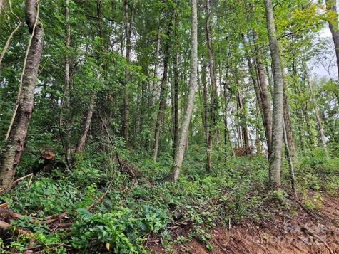 000 Dolan Road Waynesville NC 28786