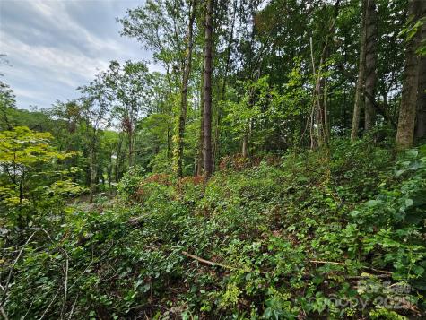 000 Dolan Road Waynesville NC 28786