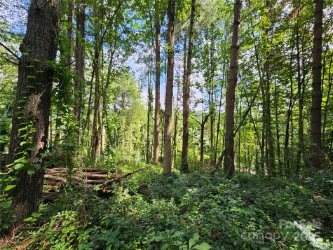 000 Dolan Road Waynesville NC 28786