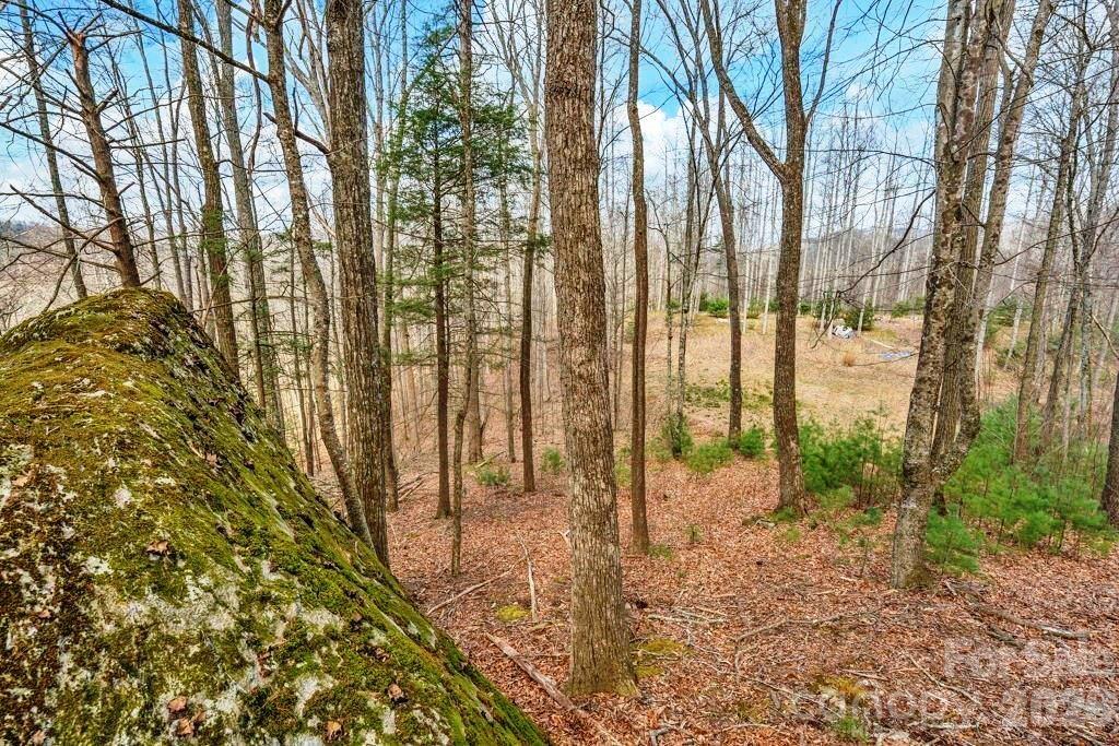 Tbd Denney Wood Road Sugar Grove NC 28679