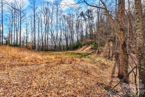 Tbd Denney Wood Road Sugar Grove NC 28679