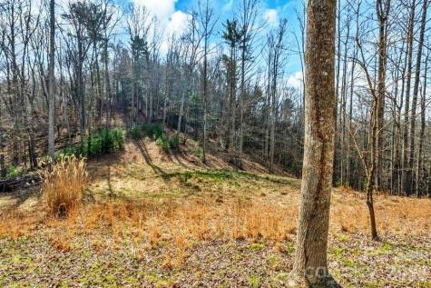 Tbd Denney Wood Road Sugar Grove NC 28679