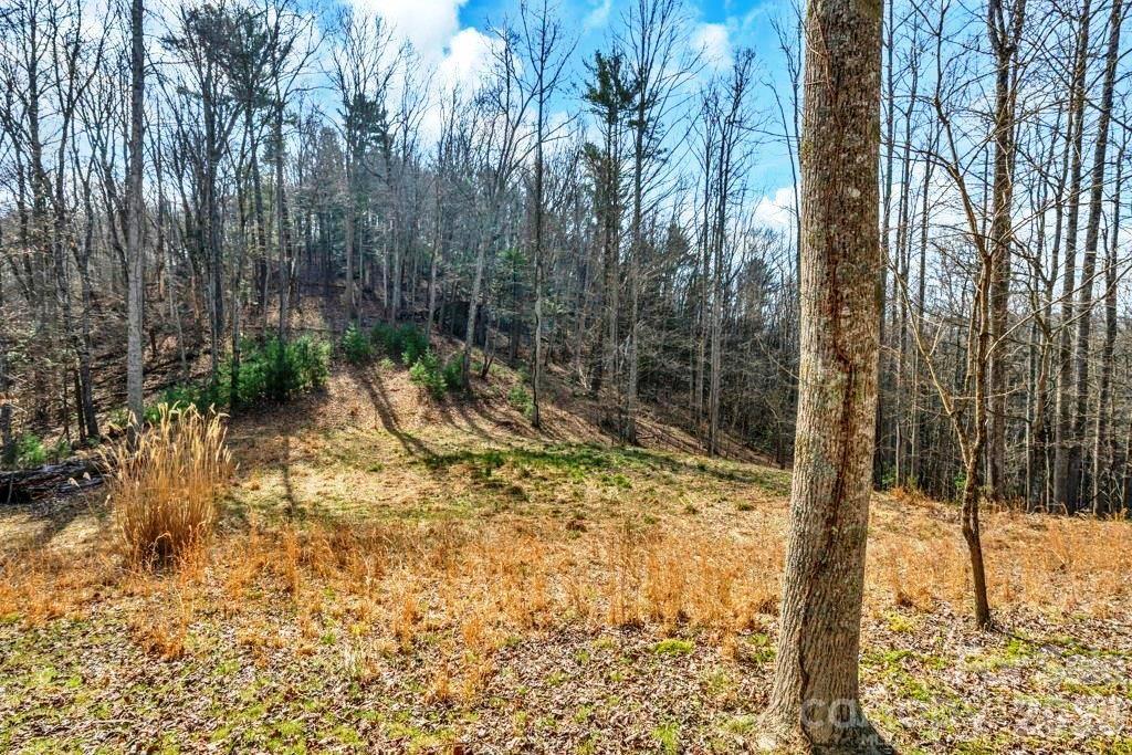 Tbd Denney Wood Road Sugar Grove NC 28679