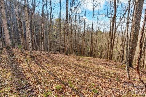 Tbd Denney Wood Road Sugar Grove NC 28679