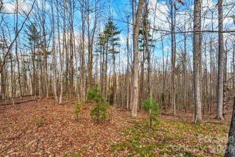 Tbd Denney Wood Road Sugar Grove NC 28679