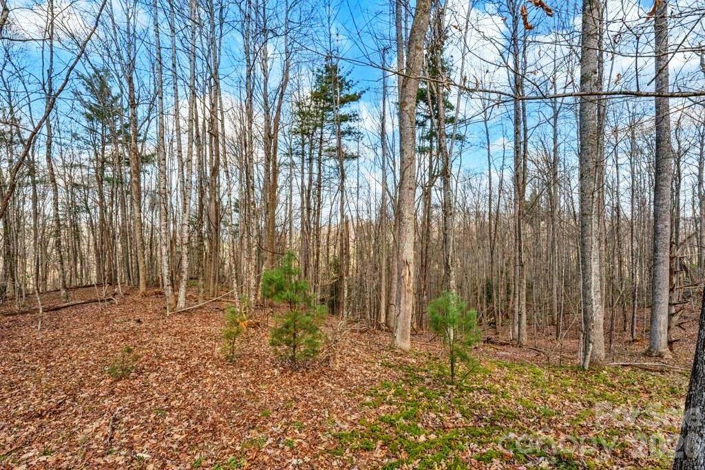 Tbd Denney Wood Road Sugar Grove NC 28679