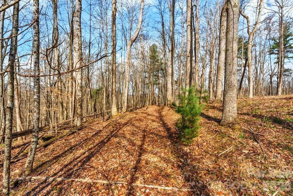 Tbd Denney Wood Road Sugar Grove NC 28679