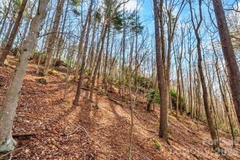 Tbd Denney Wood Road Sugar Grove NC 28679