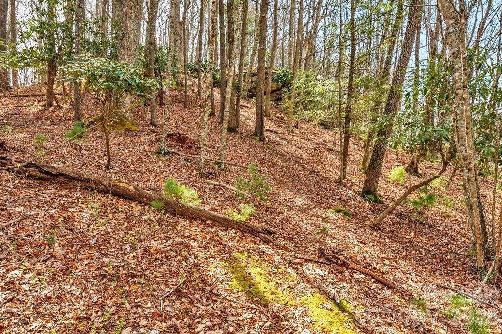 Tbd Denney Wood Road Sugar Grove NC 28679