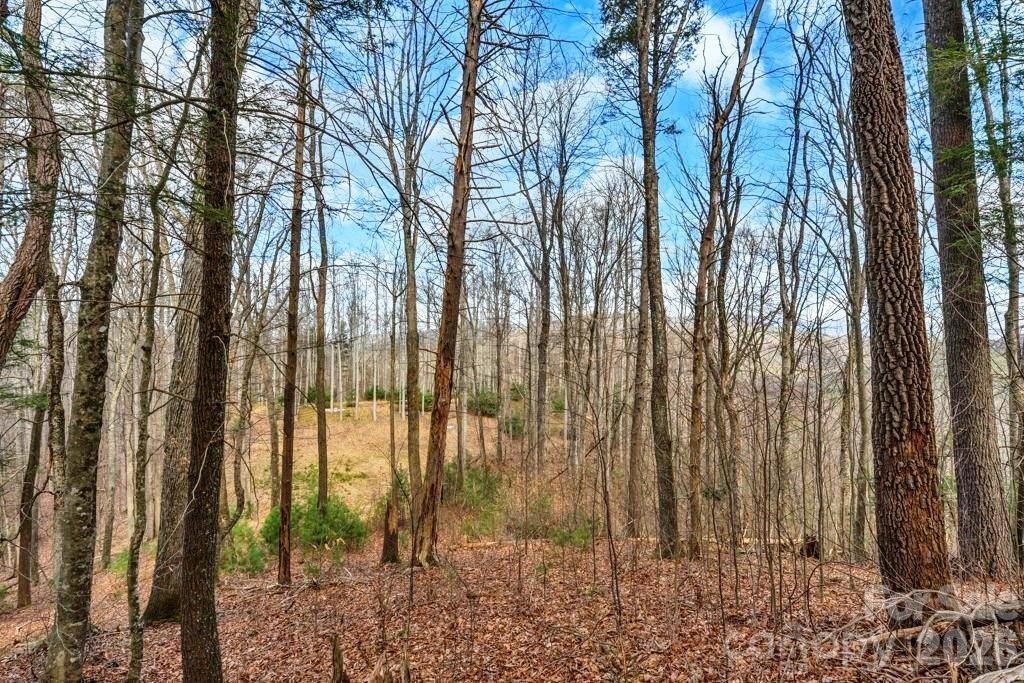 Tbd Denney Wood Road Sugar Grove NC 28679