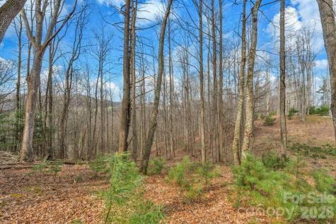 Tbd Denney Wood Road Sugar Grove NC 28679