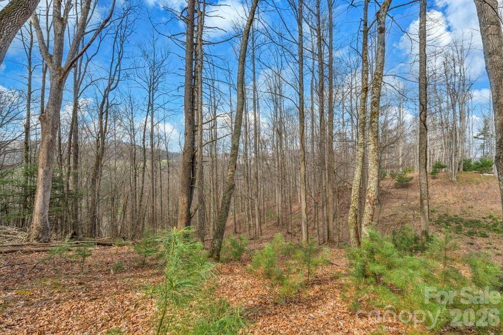 Tbd Denney Wood Road Sugar Grove NC 28679