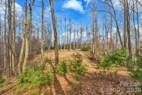 Tbd Denney Wood Road Sugar Grove NC 28679