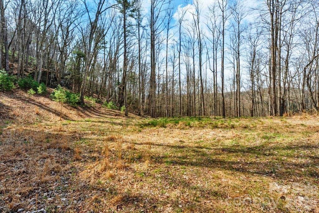 Tbd Denney Wood Road Sugar Grove NC 28679