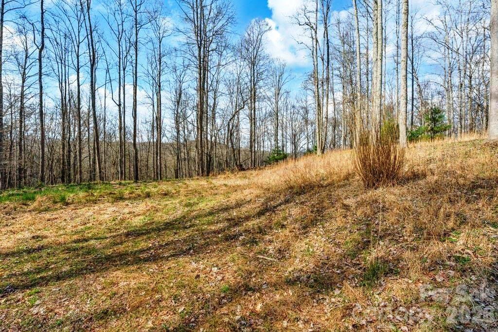 Tbd Denney Wood Road Sugar Grove NC 28679
