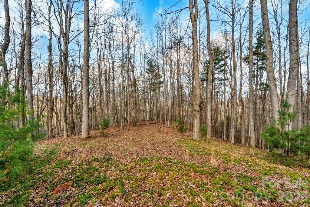 Tbd Denney Wood Road Sugar Grove NC 28679
