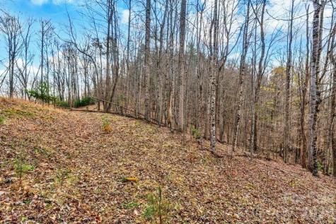 Tbd Denney Wood Road Sugar Grove NC 28679