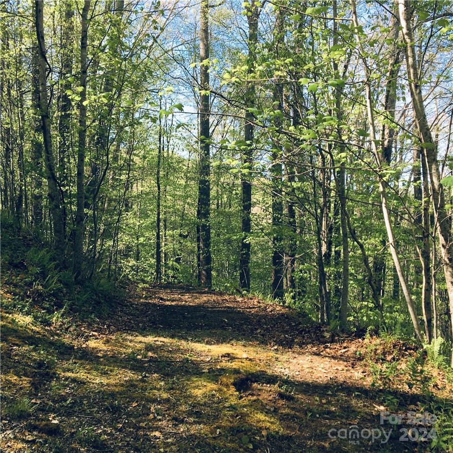 Tbd Fern Hill Drive Mars Hill NC 28754