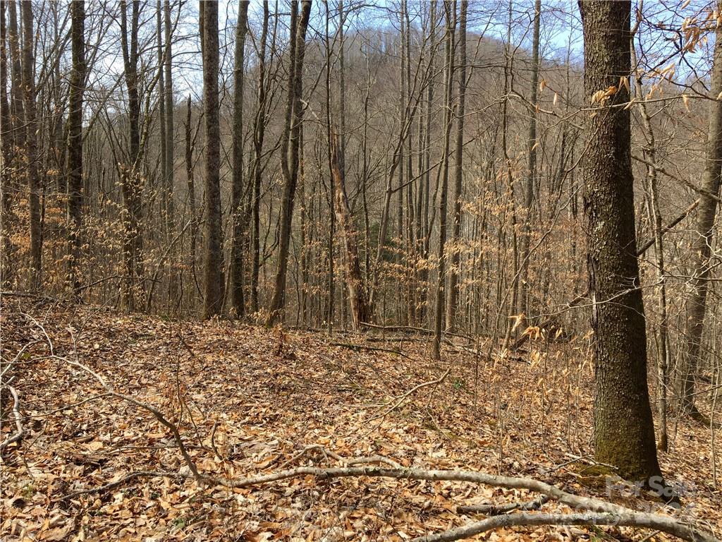 Tbd Fern Hill Drive Mars Hill NC 28754