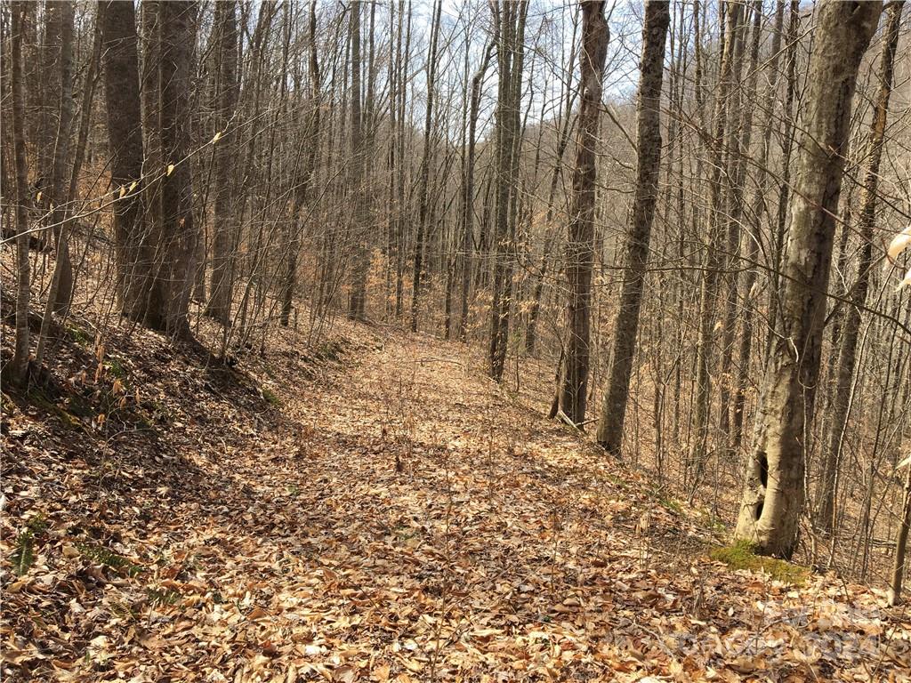 Tbd Fern Hill Drive Mars Hill NC 28754